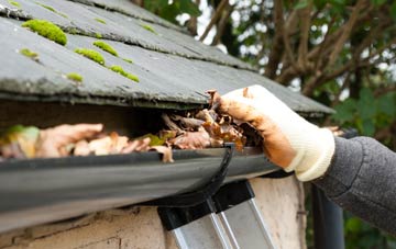gutter cleaning North Down