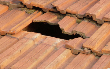 roof repair North Down