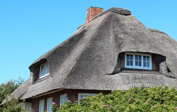 thatch roofing North Down