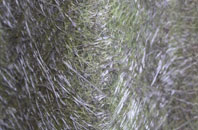 North Down fibreglass roof work